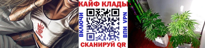 Где найти наркотики Облучье ссылка на мегу зеркало  СОЛЬ  МЕФ  COCAIN 