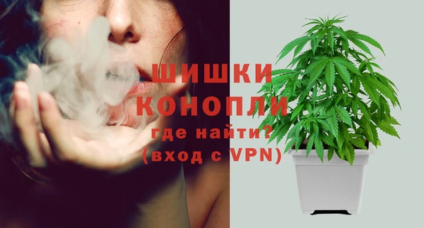 кокс Белокуриха