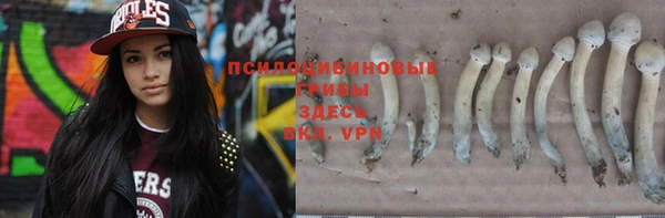 ПСИЛОЦИБИНОВЫЕ ГРИБЫ Беломорск