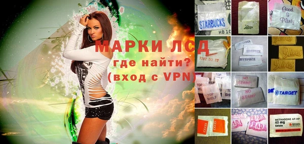 spice Богородск