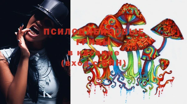 кокс Белокуриха