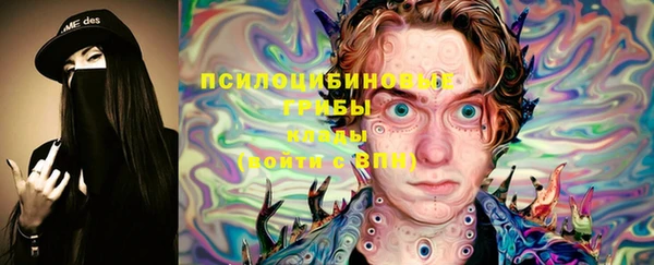 мдма Богородицк